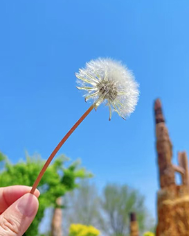 客（kè）戶（hù）服務